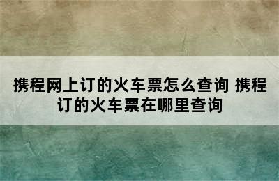 携程网上订的火车票怎么查询 携程订的火车票在哪里查询